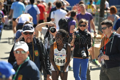 33. Maraton treh src, tekači