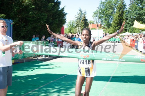 33. Maraton treh src, tekači