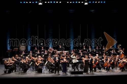 Verdi gala, koncert opernih arij, Festival Ljubljana 2013