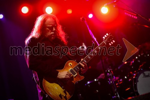 Warren Haynes, kitarist