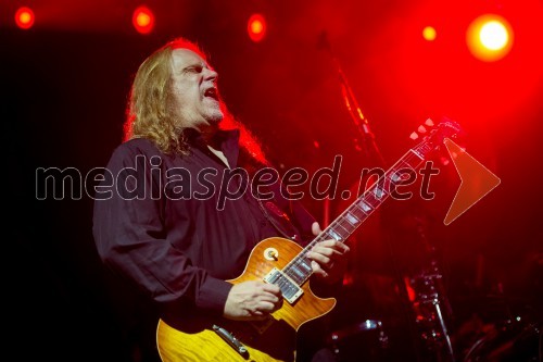 Warren Haynes, kitarist