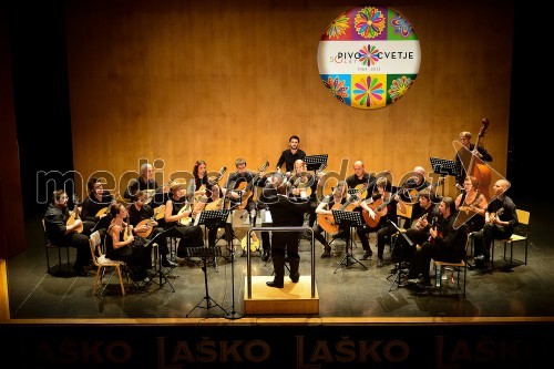 Orkester Mandolina Ljubljana