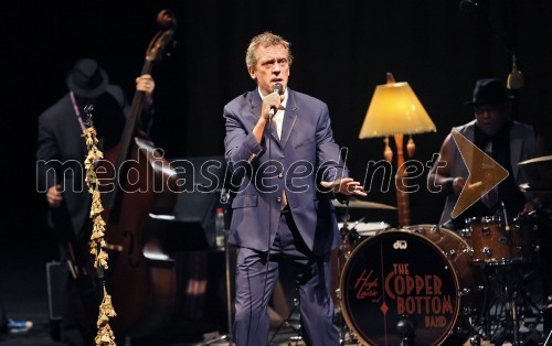 Hugh Laurie, koncert