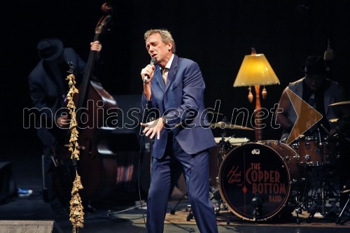 Hugh Laurie, koncert