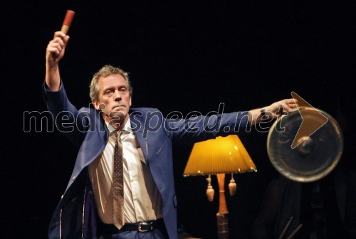 Hugh Laurie, koncert