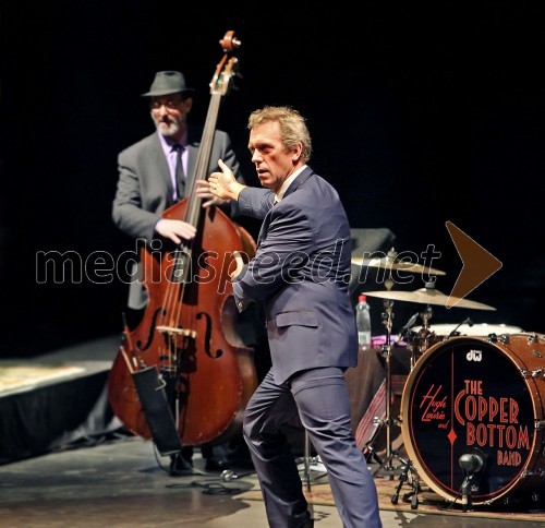 Hugh Laurie, koncert