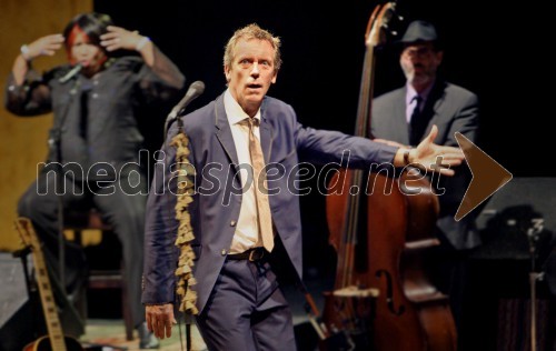 Hugh Laurie, koncert