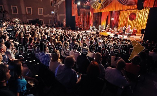 Hugh Laurie, koncert