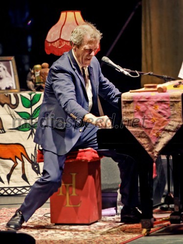 Hugh Laurie, koncert