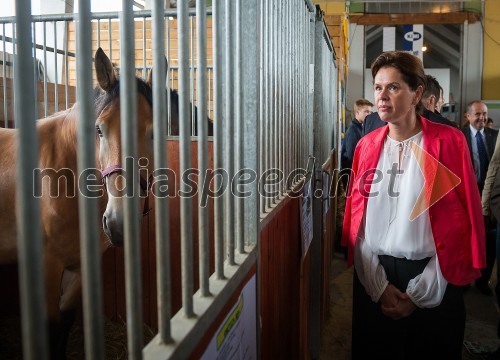 Mag. Alenka Bratušek, predsednica Vlade RS