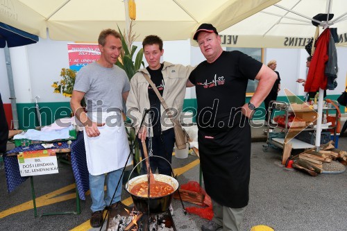 Kuharske ekipe Bogračfesta 2013