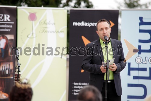 Borut Cvetko, Mediaspeed