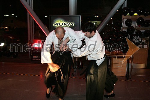 Mojstra japonskih borilnih veščin aikido