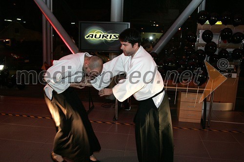 Mojstra japonskih borilnih veščin aikido