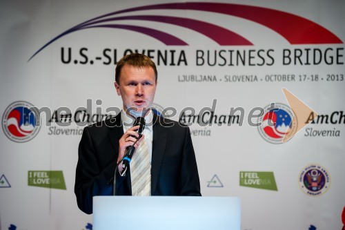 Dr. Yuri Sidorovich, odgovorni partner Deloitta v Sloveniji