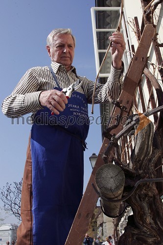 Mestni viničar mag. Tone Zafošnik