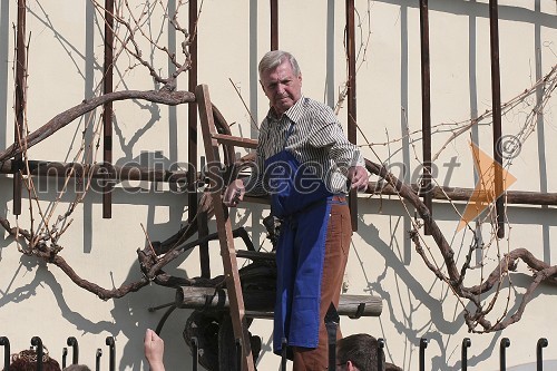 Mestni viničar mag. Tone Zafošnik