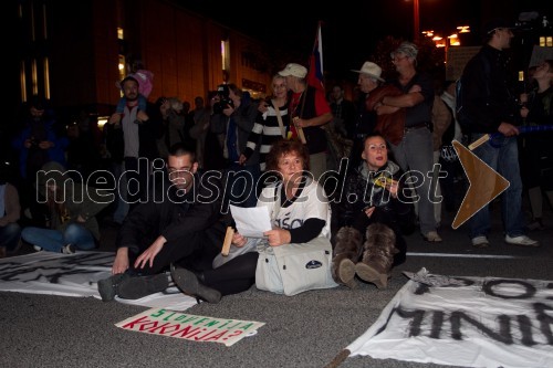 Protesti proti Vladi