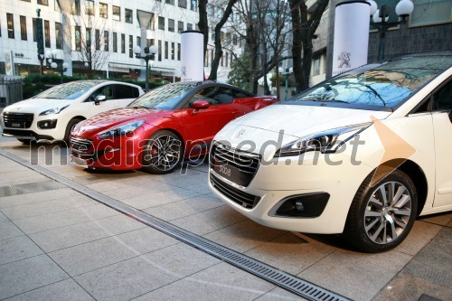 Peugeot 3008; Peugeot RCZ R; Peugeot 5008