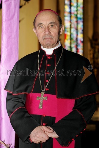 Dr. Franc Kramberger, mariborski nadškof
