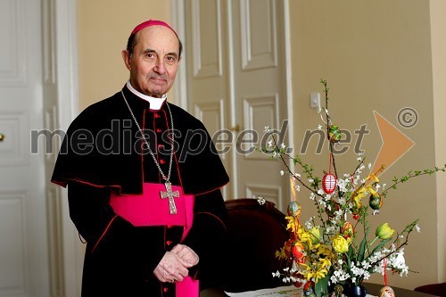 Franc Kramberger, mariborski nadškof