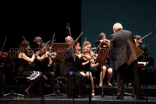 Zdravniški orkester Camerata Medica