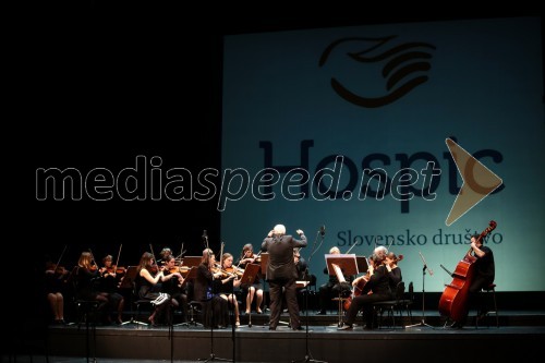 Zdravniški orkester Camerata Medica