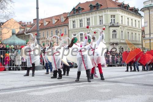 Zmajev karneval 2014