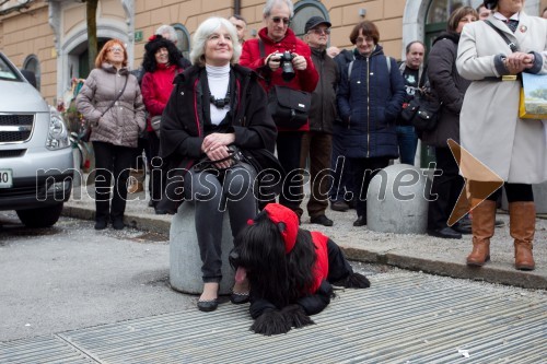 Zmajev karneval 2014