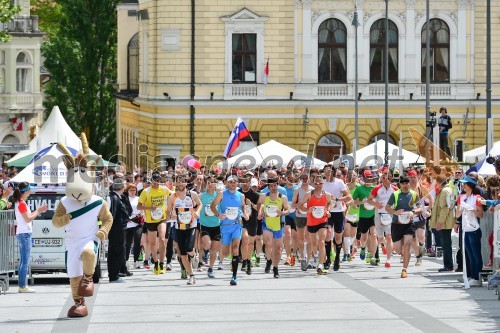 Wings for life world run, Slovenija