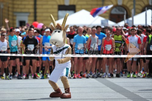 Wings for life world run, Slovenija