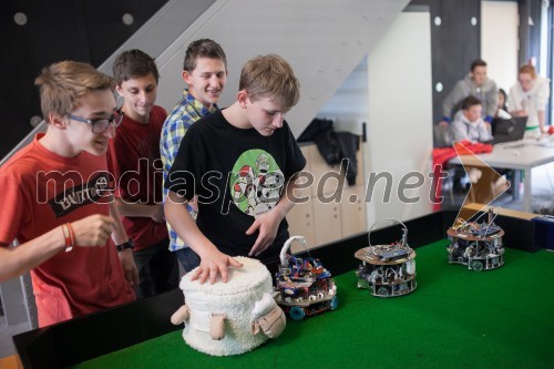 Državna robotska tekmovanja RoboT 2014, ROBObum 2014 in RoboCup Junior