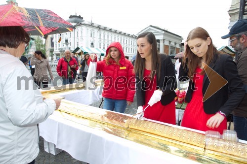 Največja Lions sladica, dobrodelni dogodek