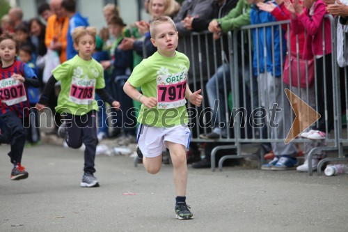 34. Maraton treh src, tekači