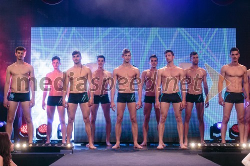 Izbor Mister Slovenije 2014