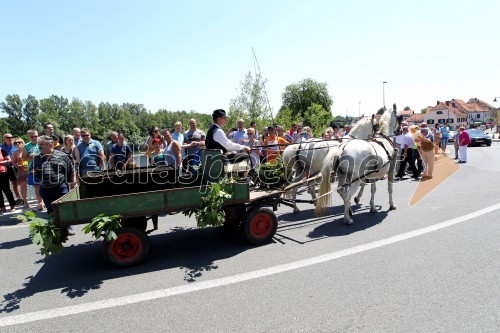 Dan odprtih kleti 2014, Radgonske gorice