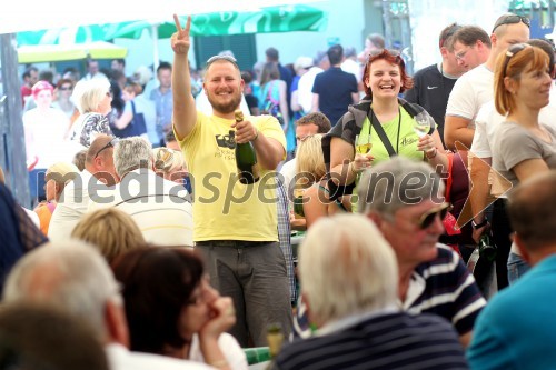 Dan odprtih kleti 2014, Radgonske gorice