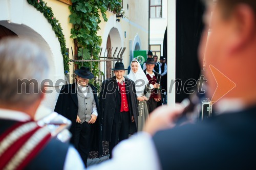 50. Pivo in cvetje, nedelja, festivalsko dogajanje