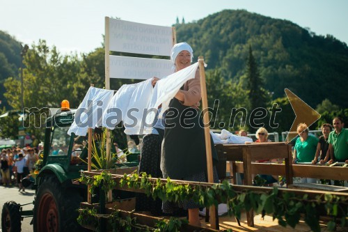 50. Pivo in cvetje, nedelja, festivalsko dogajanje