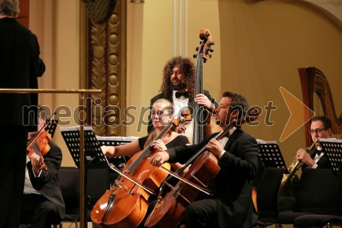 Koncert Mednarodnega orkestra Ljubljana z dirigentom Klausom Arpom