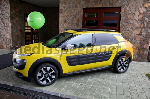 Citroen C4 Cactus