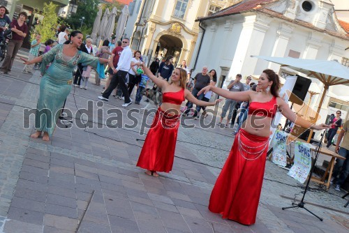 Plesna predstava Hiše Zahir