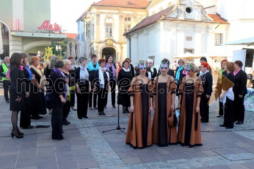 Ženski pevski zbor glasbena matica Maribor