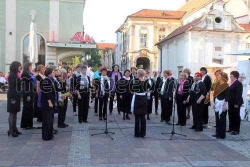 Ženski pevski zbor glasbena matica Maribor