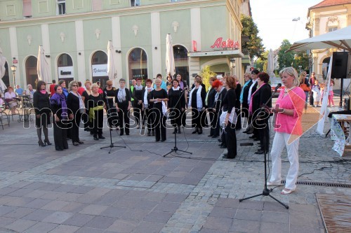 Ženski pevski zbor glasbena matica Maribor