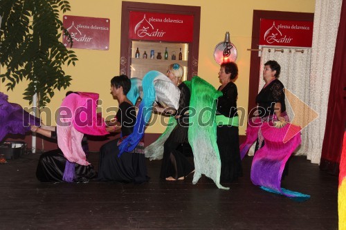 Plesna predstava Hiše Zahir