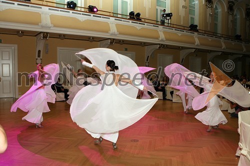 Plesna šola Urška