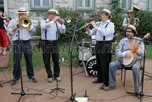 Dixie šok band