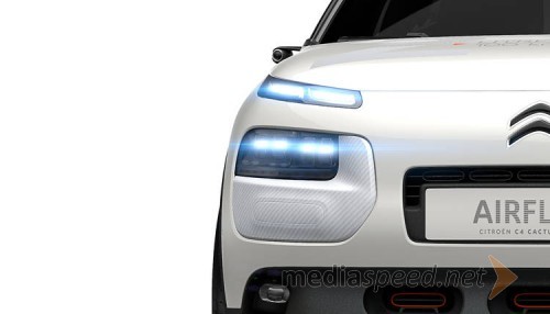 C4 Cactus AIRFLOW 2L