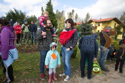 Vrnimo lepoto našim gozdovom, akcija pogozdovanja po žledu